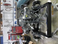 161222 55 Chevy Pickup (7).JPG